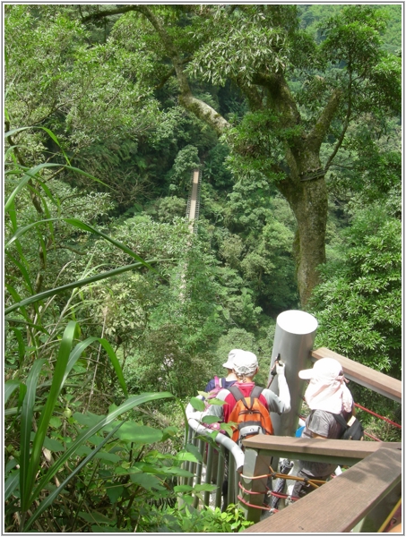 2011-06-16 10-45-48悠遊天梯.JPG